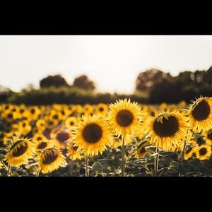 Meet your Posher, Kristina